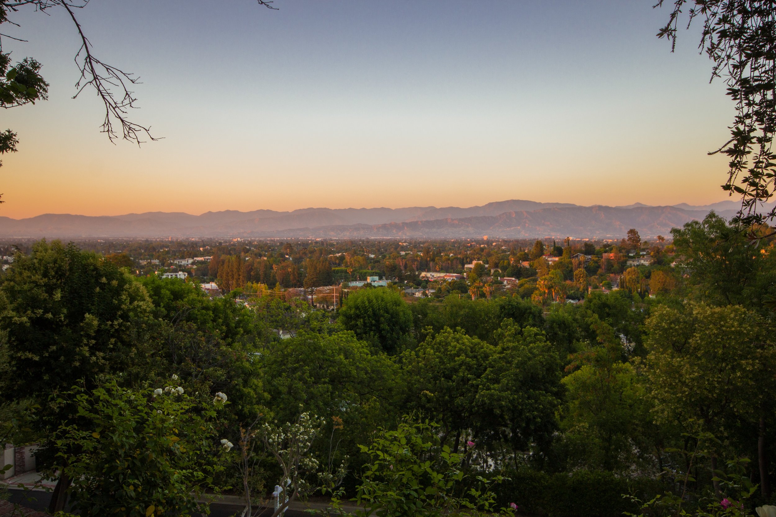12948_Galewood_Twilight__01.jpg