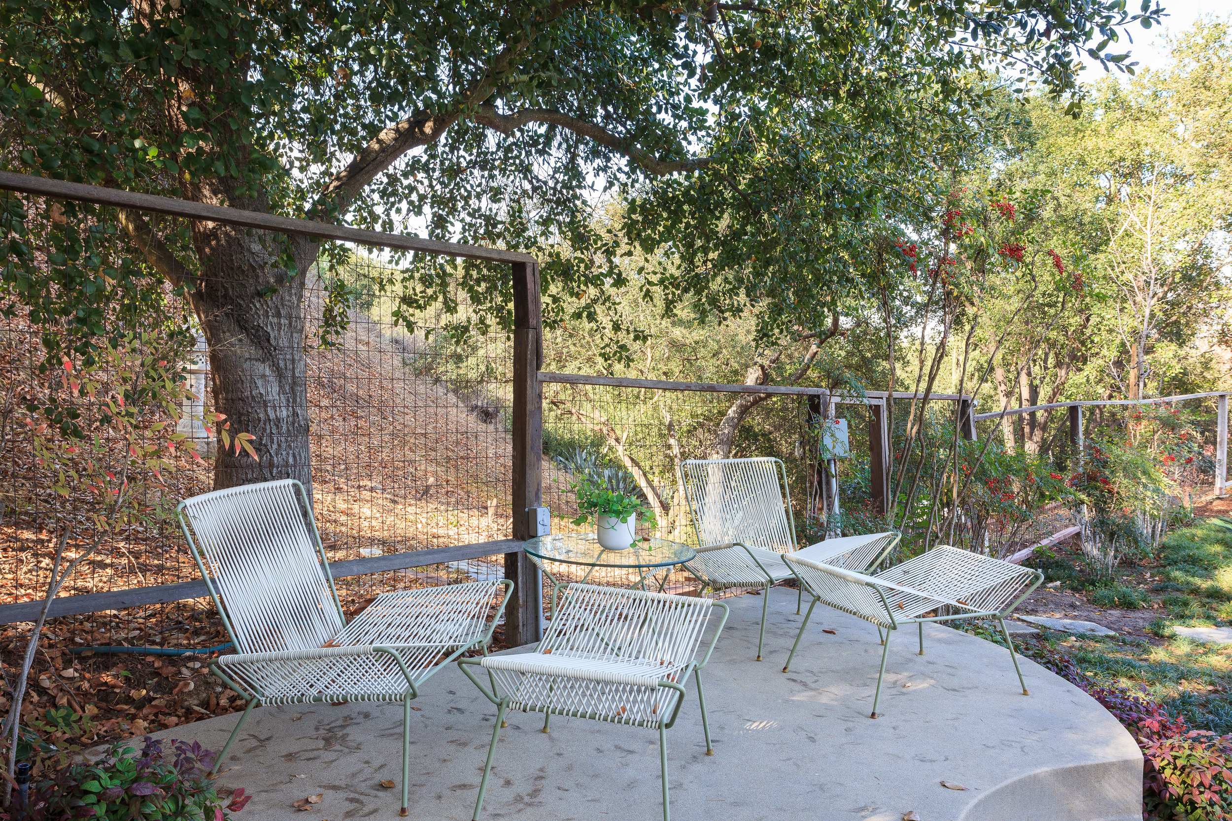 3493 Valley Meadow Rd Sherman-print-018-22-Back Yard-4200x2800-300dpi.jpg