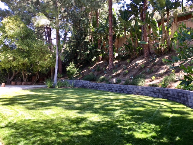 image_h_15.jpg