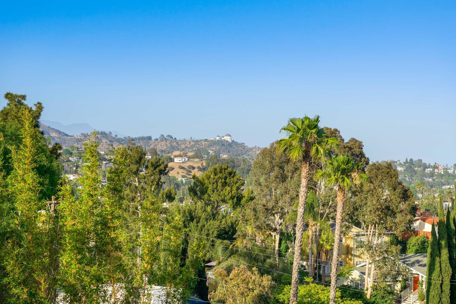 2038 N Sycamore Ave Los-large-062-050-Griffin53-1500x1000-72dpi.jpg