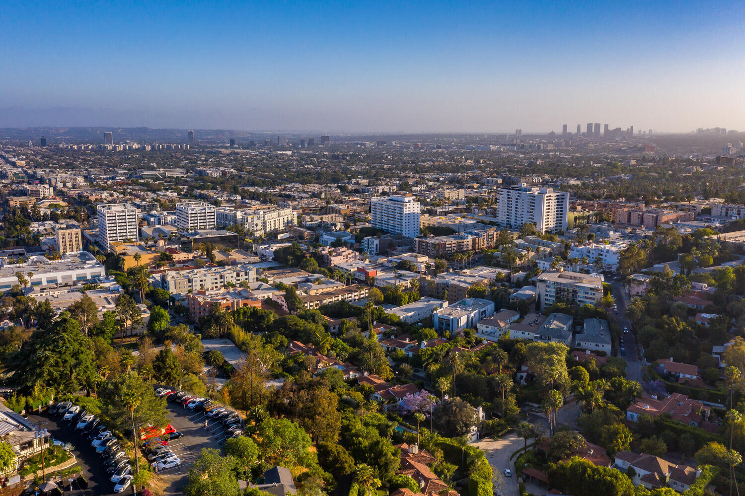 2038 N Sycamore Ave Los-large-064-065-DJI 0456-1500x1000-72dpi.jpg