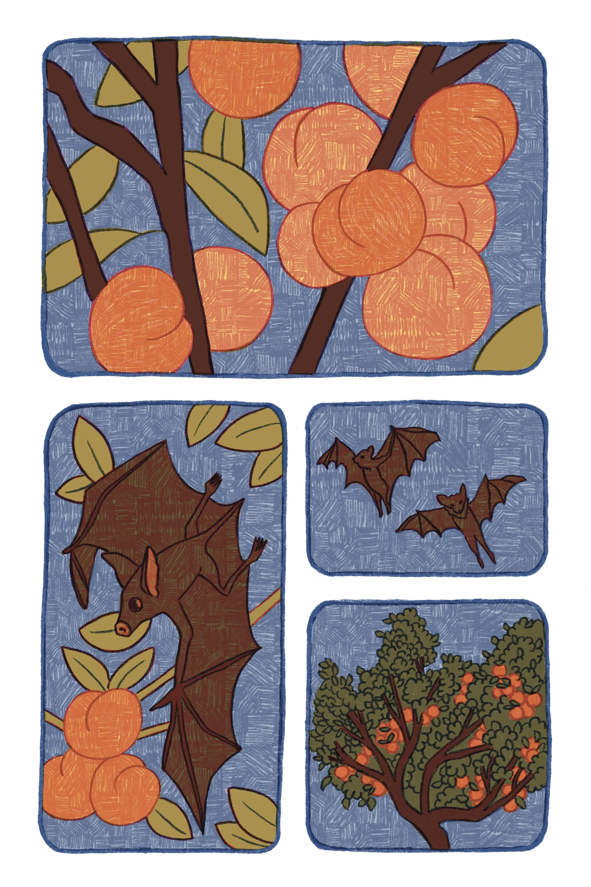 Fruit Bat