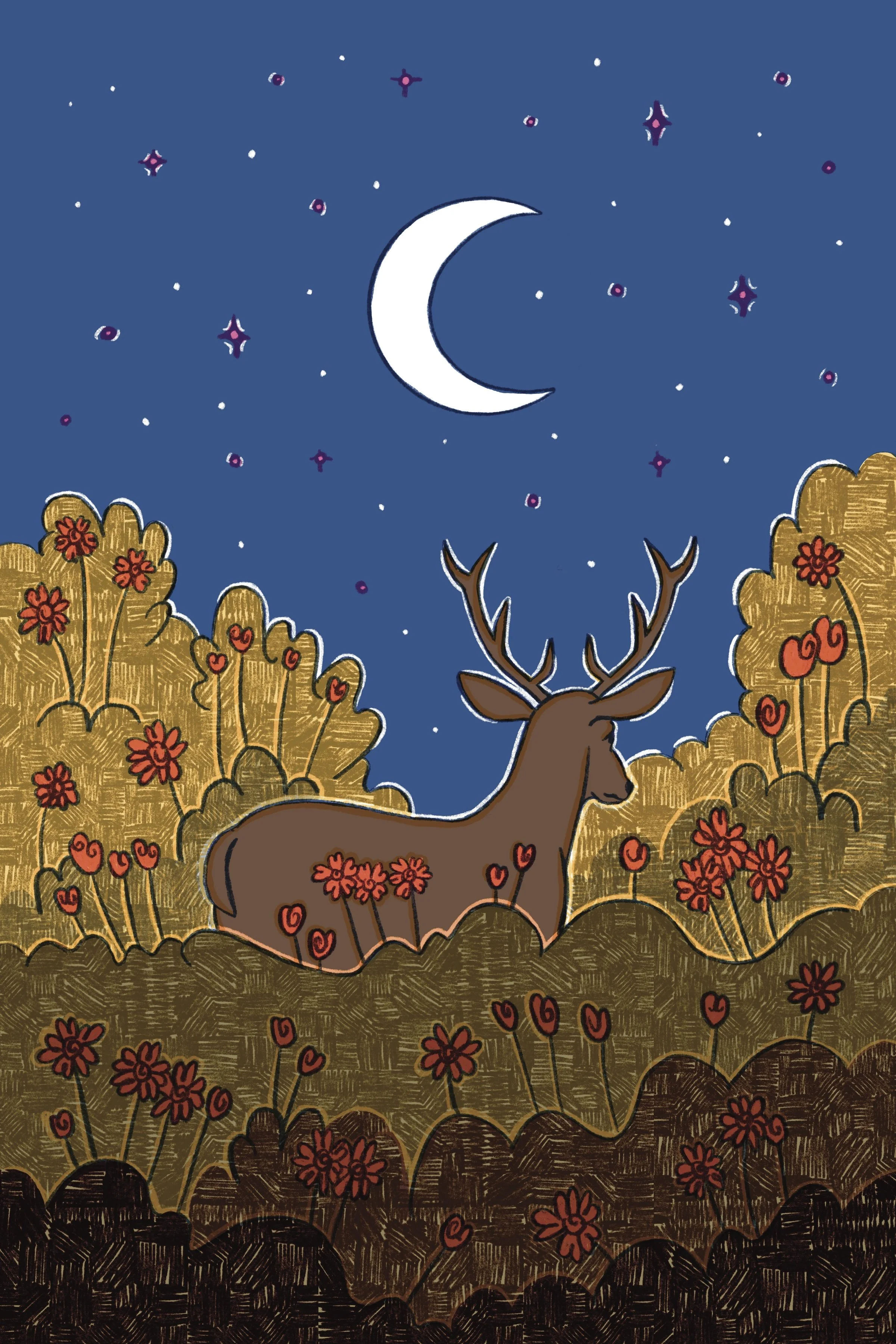 Deer at Night