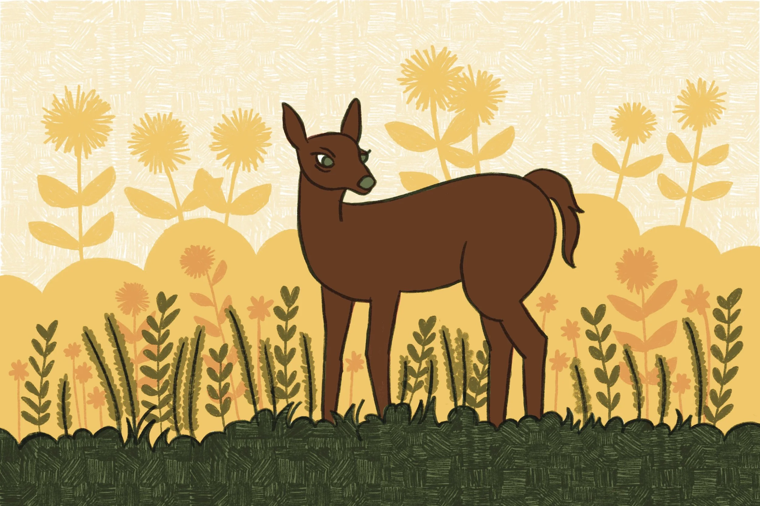Deer in Field