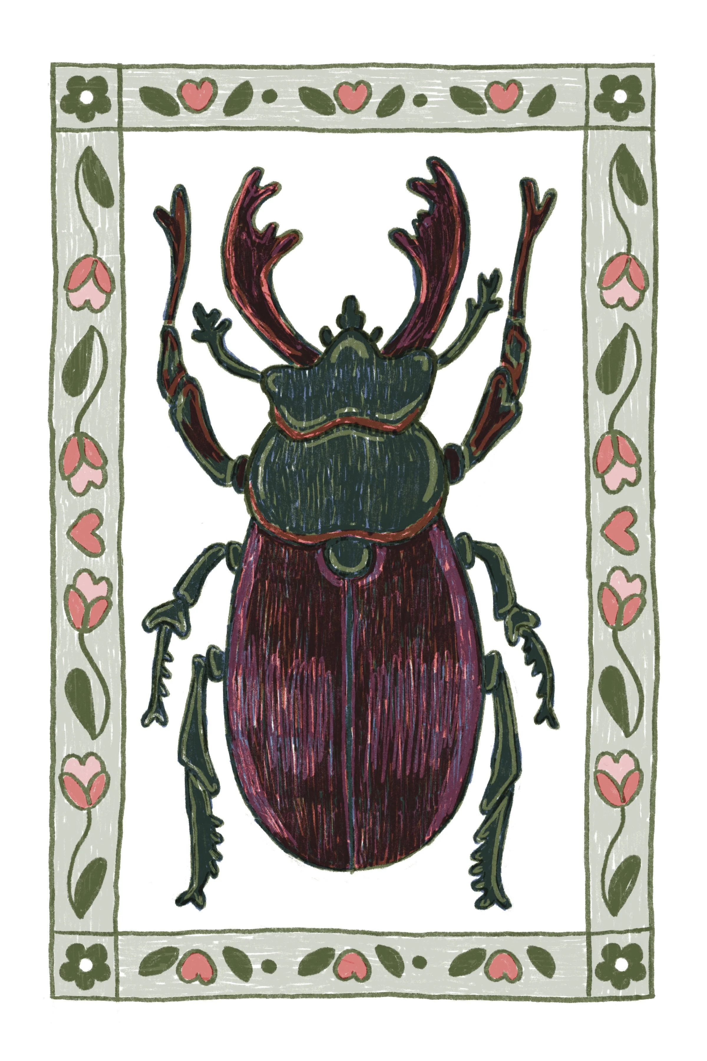Stag Beetle