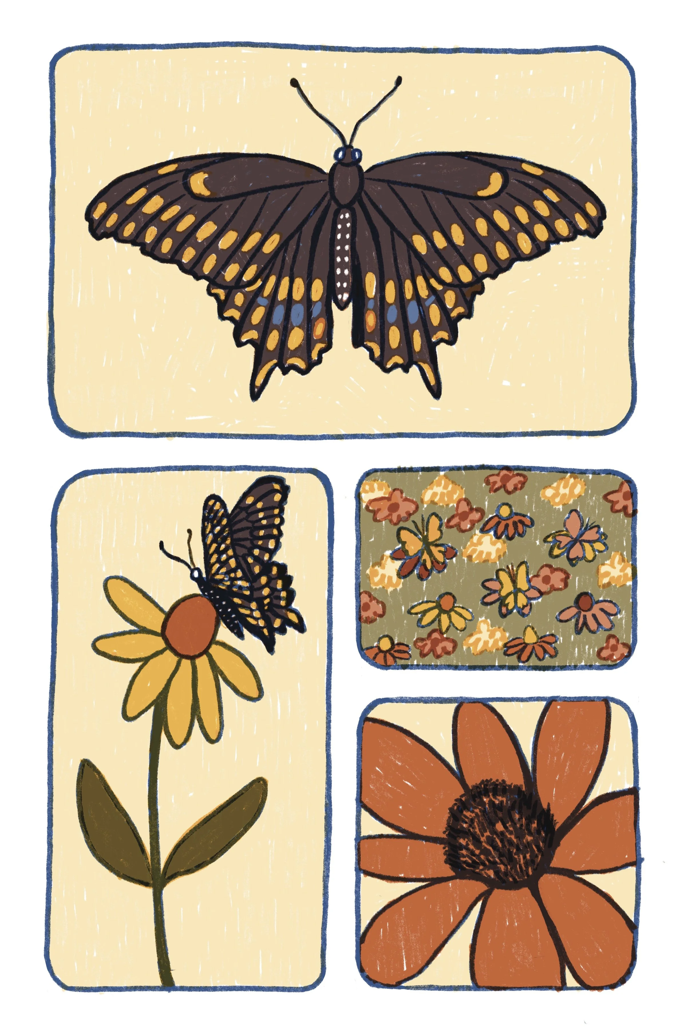 Swallowtail Butterfly