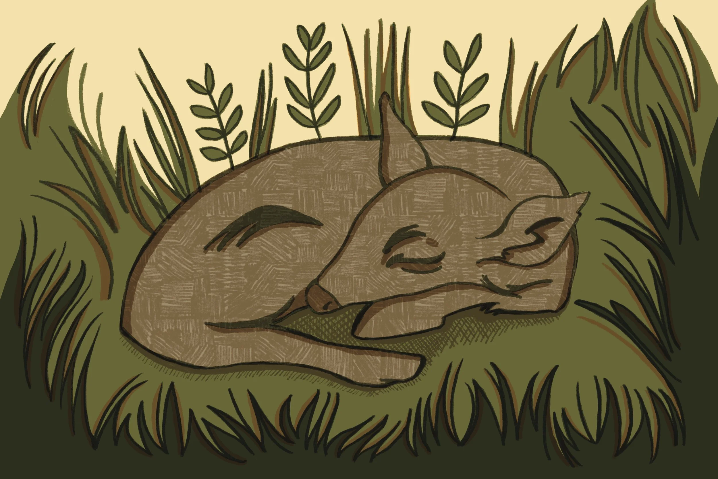 Sleeping Deer.JPG