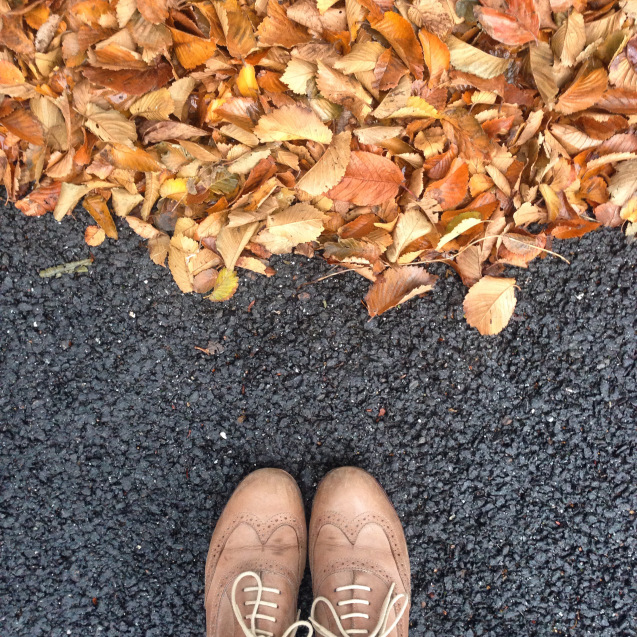stop-look-breathe-create-mindful-photography2.jpg