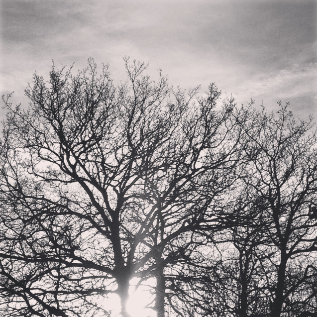 stop-look-breathe-create-mindful-photography4.jpg