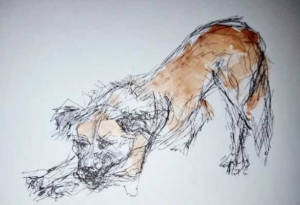 nina thorne mindful drawing.jpg