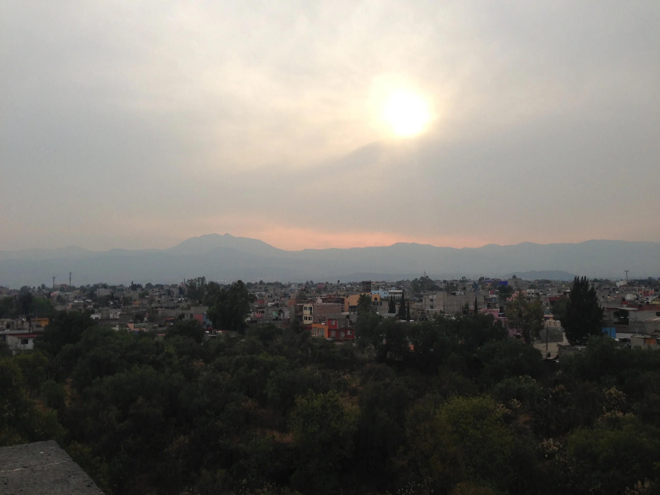 IMG_7714.JPG