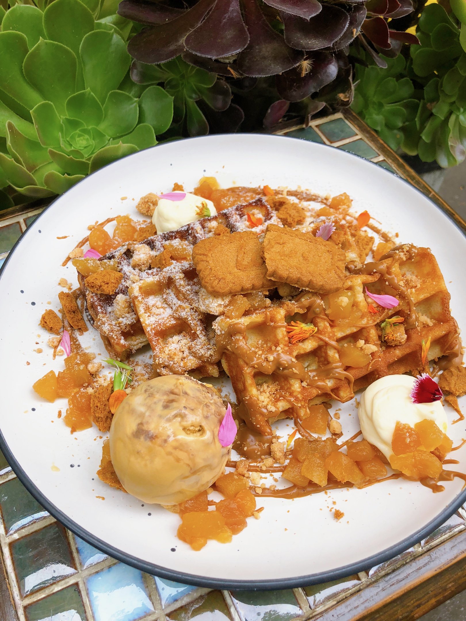 BISCOFF &amp; CARAMELIZED APPLE WAFFLE 