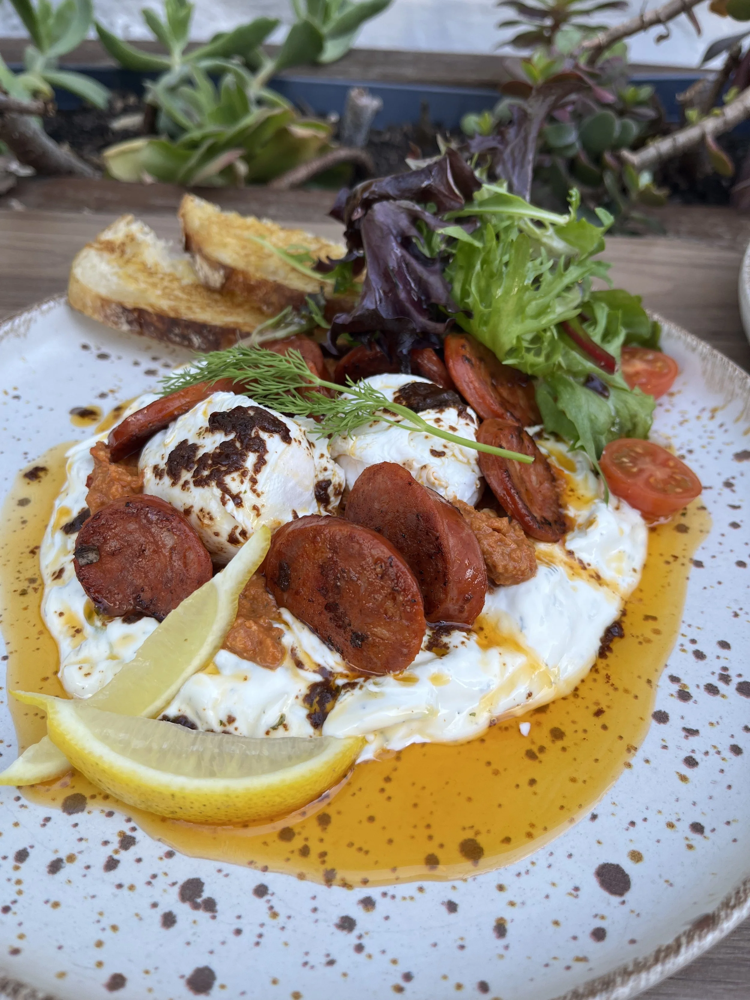 TURKISH EGG