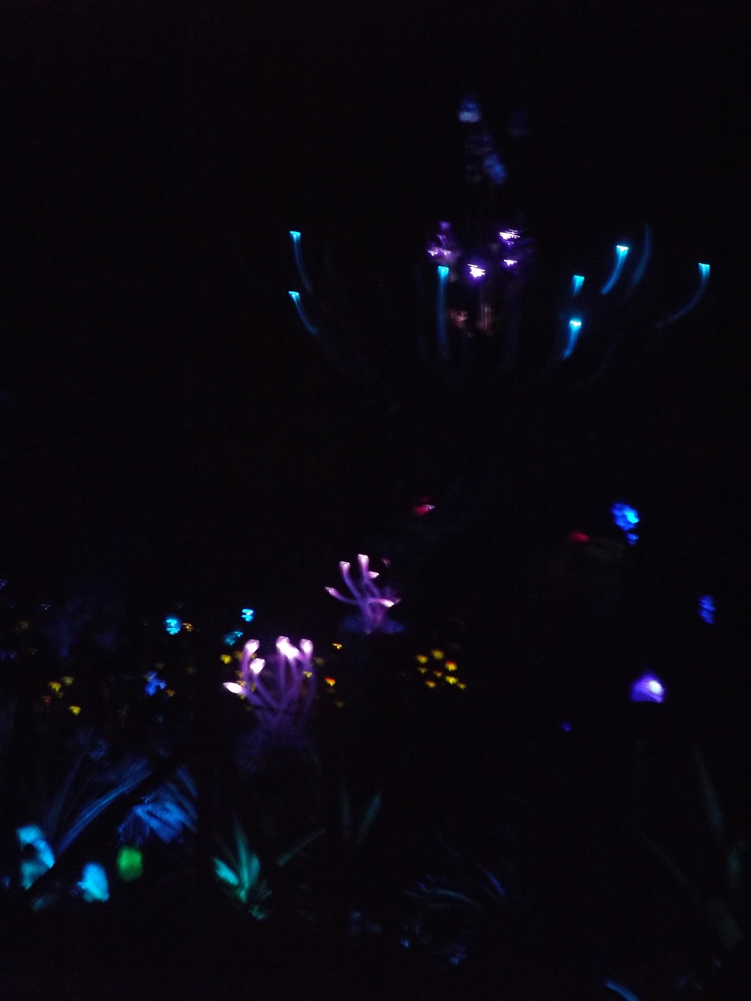 DSCF0516.JPG
