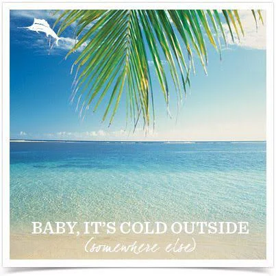 TB Social Media Holiday E-Card