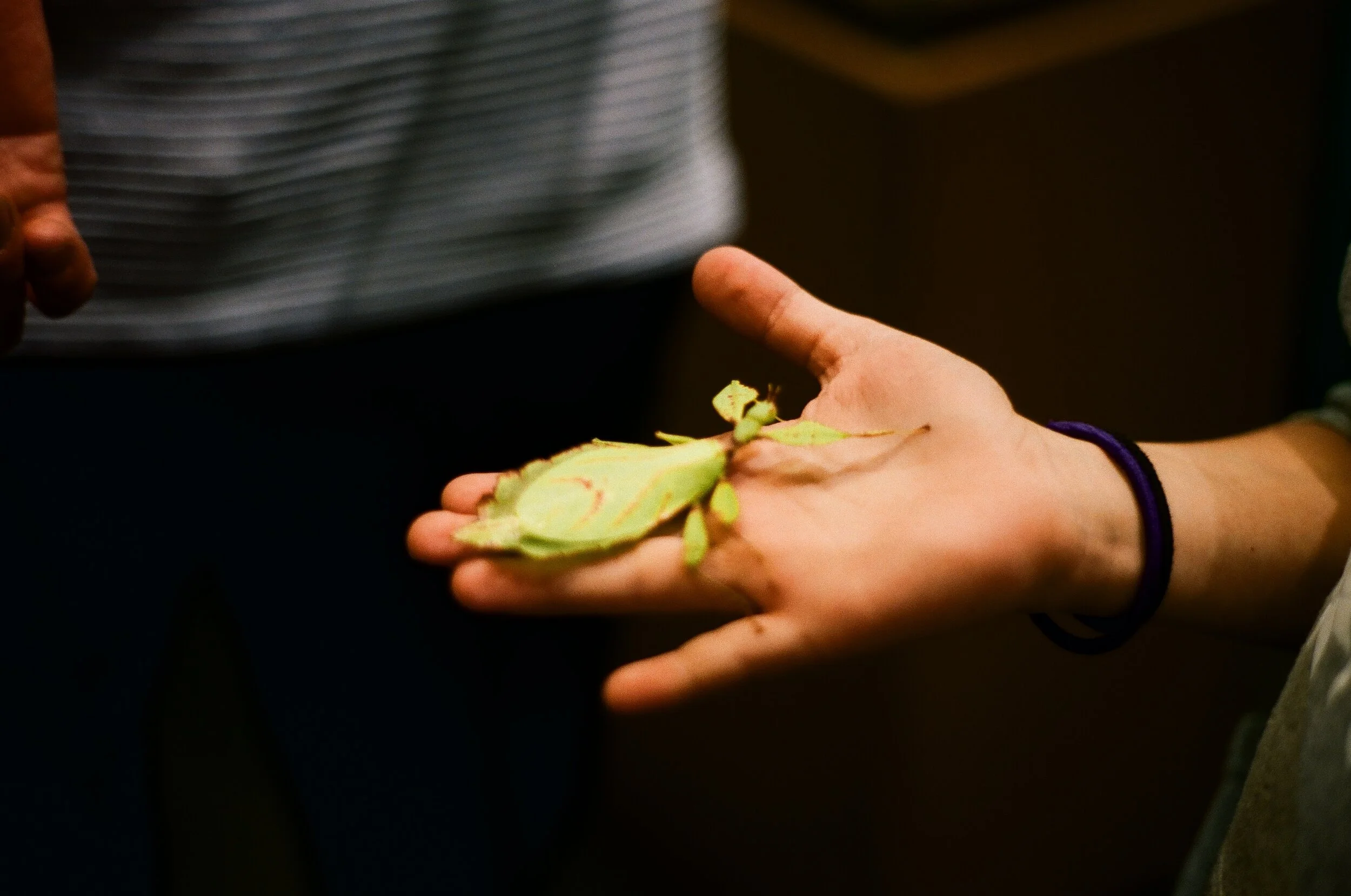 67820033.jpg