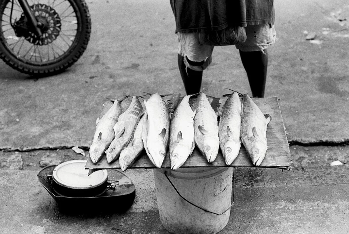 fish1.jpg