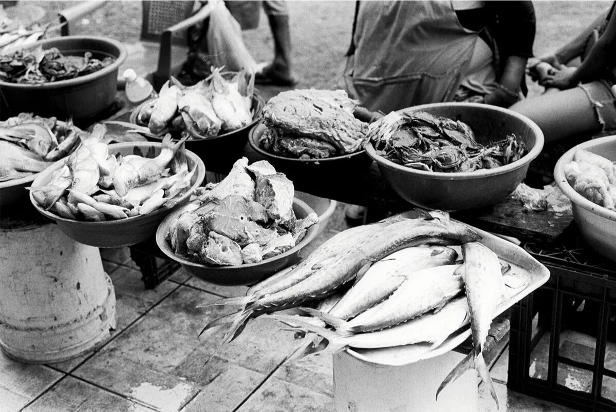 fish4.jpg