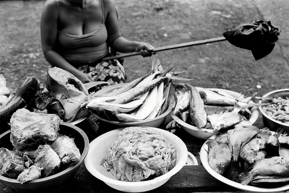 fish5.jpg