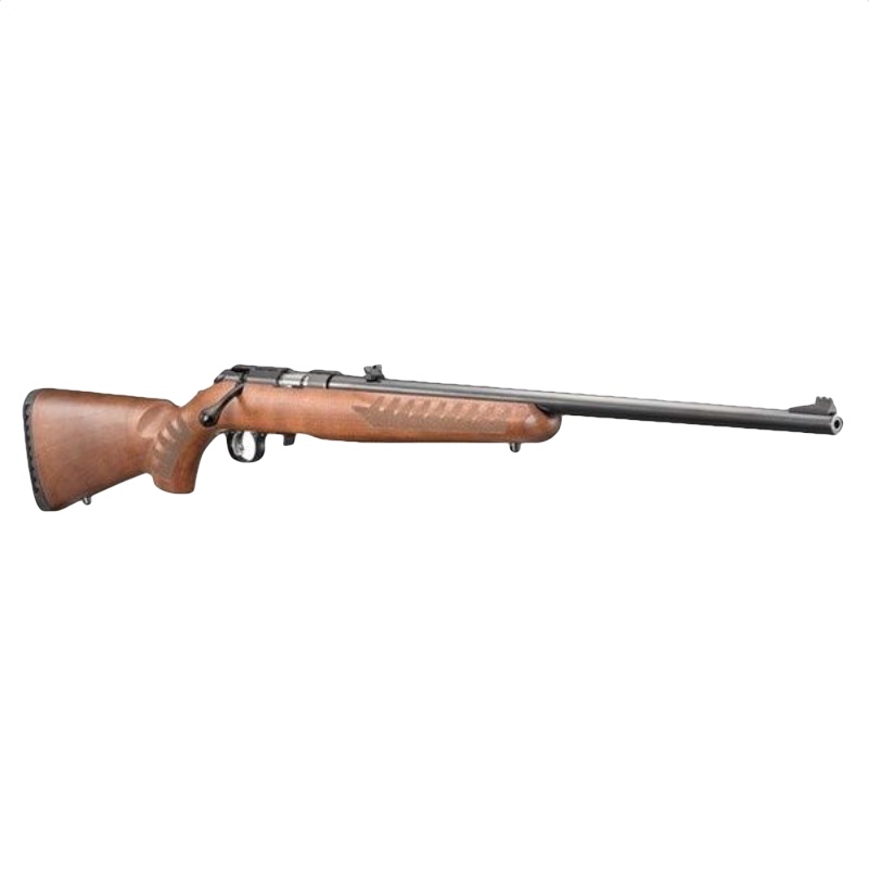 First .22 Rifle Outdoor Practice
