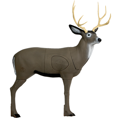 Deer Archery Target.png