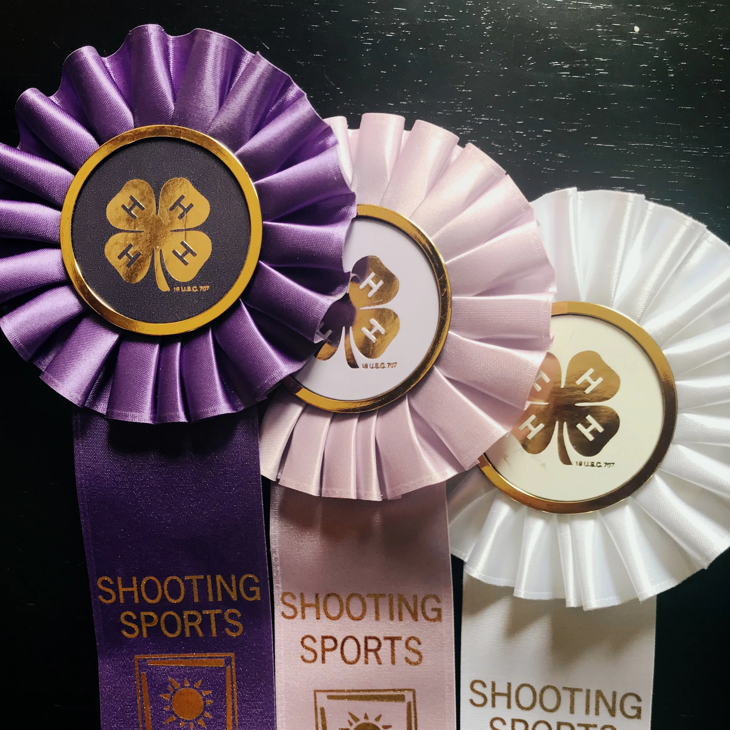 2018 State Shoot Results – Weekend Two