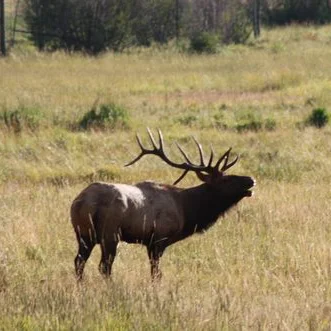 CANCELED: Outdoor Skills RMNP Field Trip