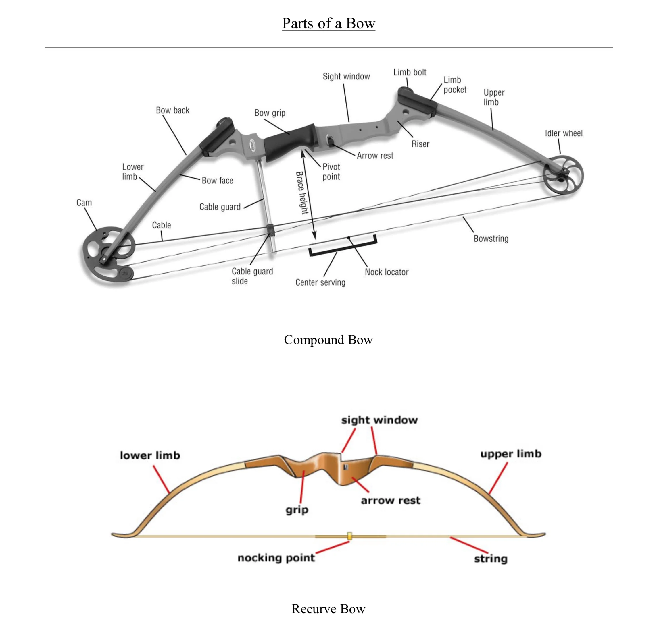 Parts of a Bow.jpg