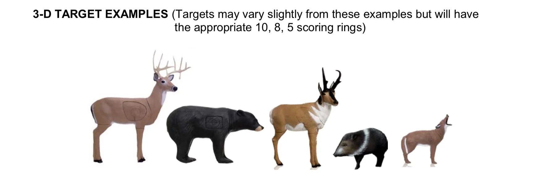 3D Targets.jpg