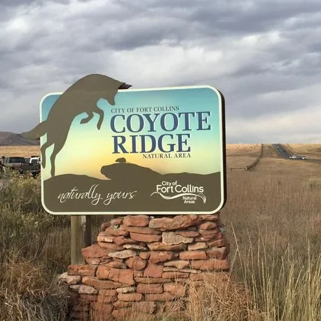 Coyote Trail.jpg