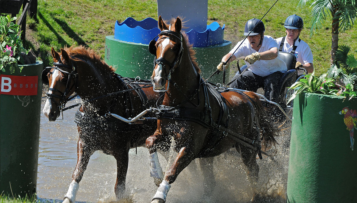 1200px-Owen_pilling_water_obstacle_hopetoun_hdt_2009.jpg