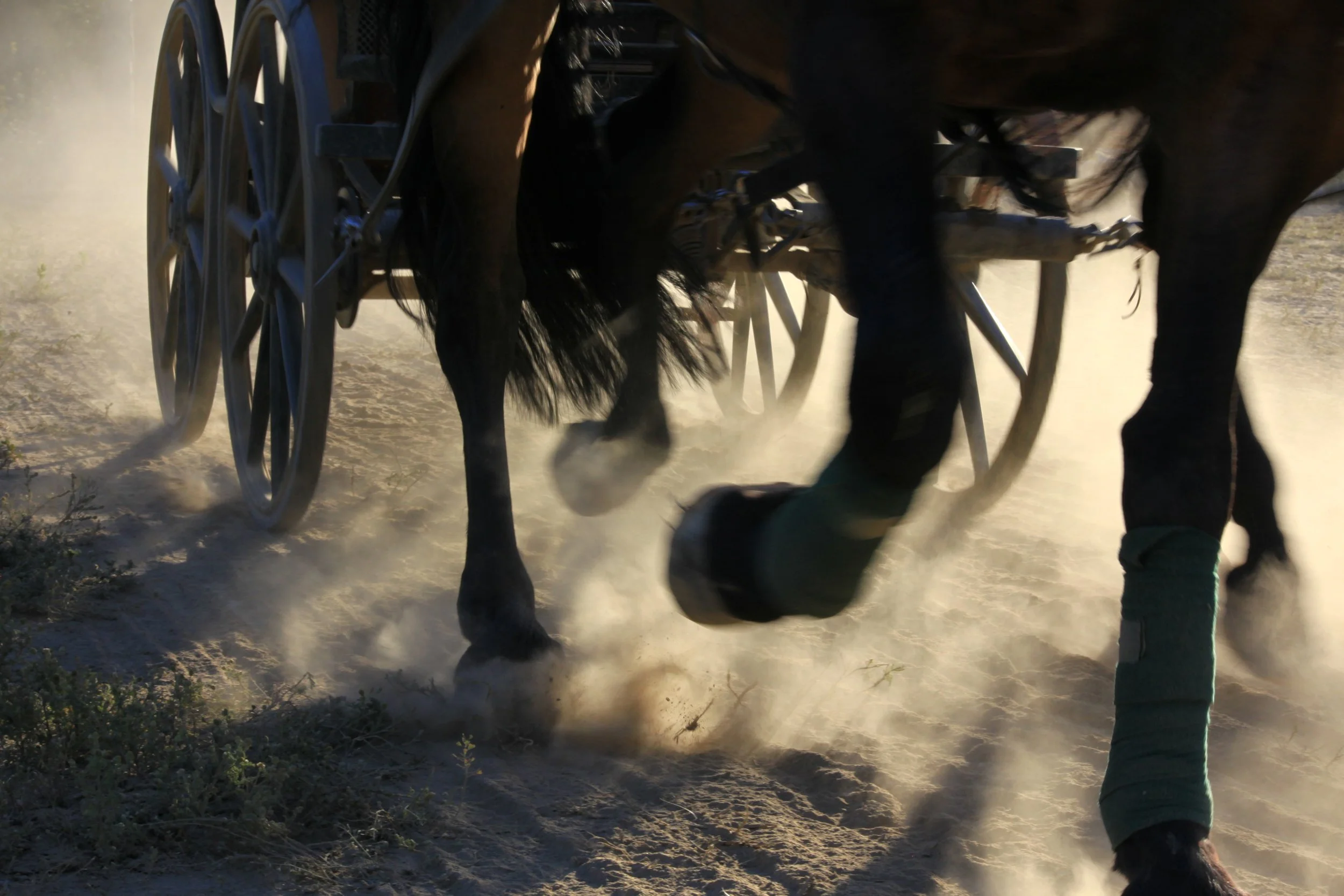 8th Annual Driving Bonanza   July 14-17, 2025