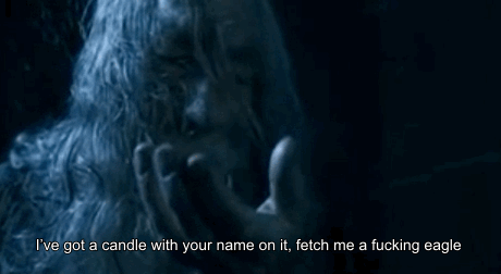 gandalf_moth.gif