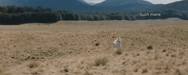 shadowfax_2.gif