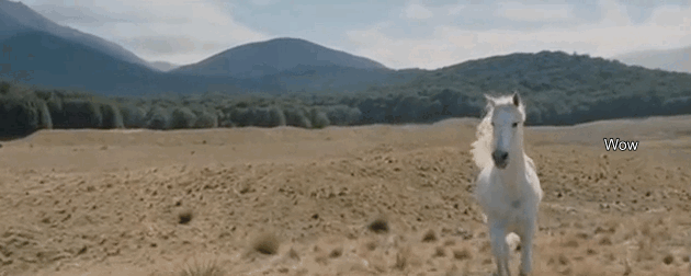 shadowfax_3.gif