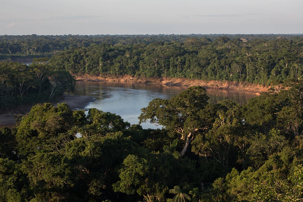 paisajes de la selva 1.jpg