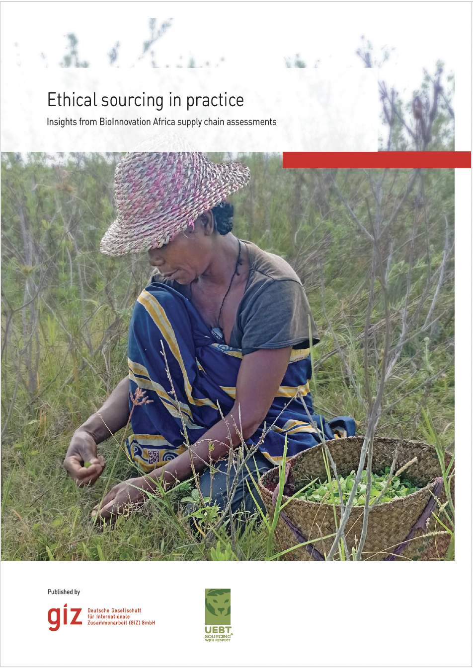 &nbsp;Ethical sourcing in practice: Insights from BioInnovation Africa supply chain assessments&nbsp;