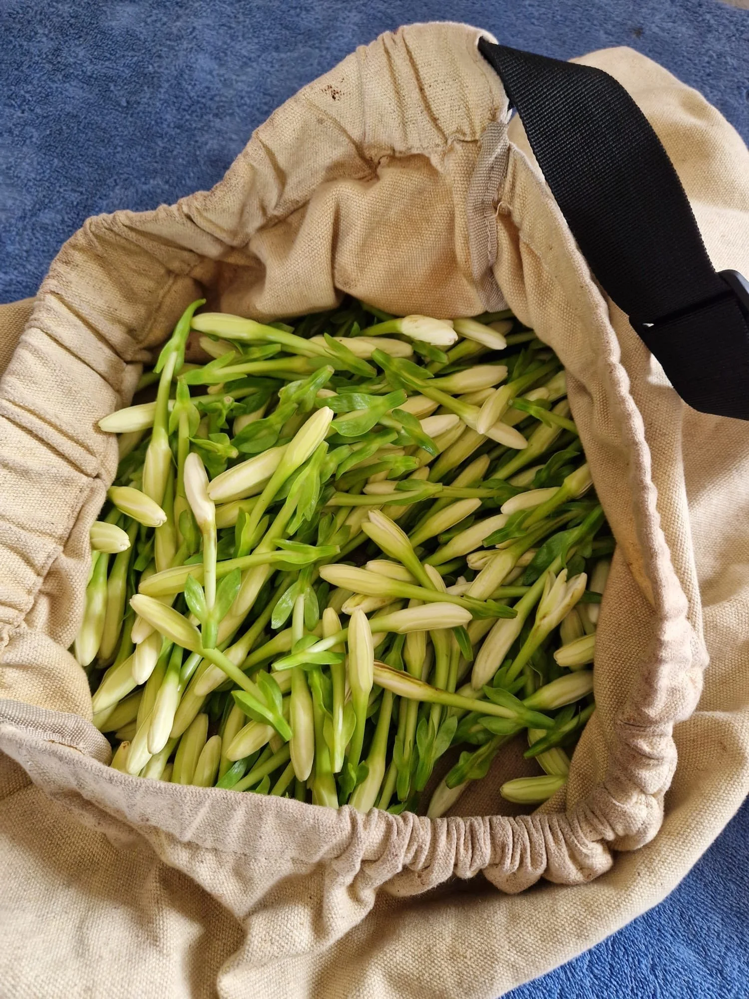 f8dbc4e2-88f0-48c6-a3e1-231620866bd7 2.JPG