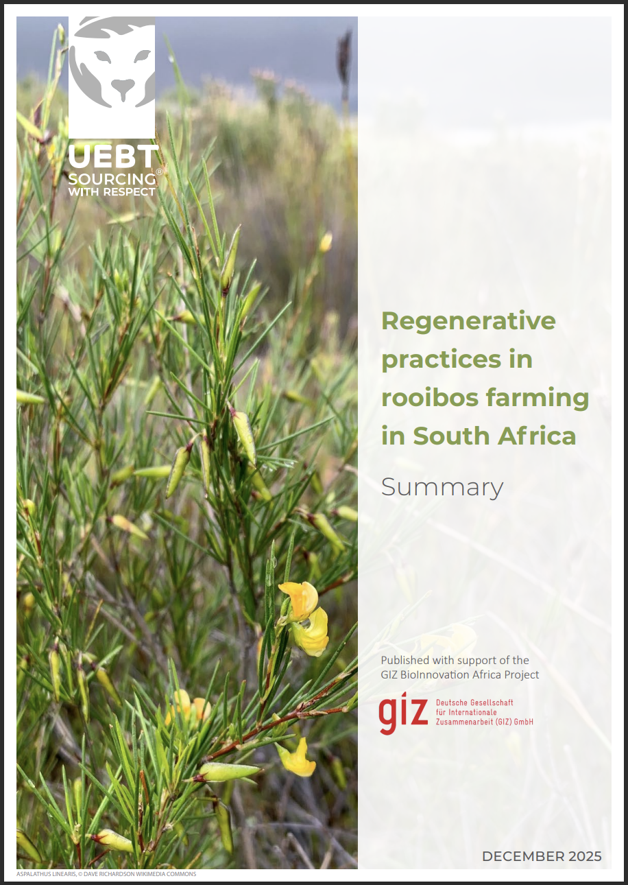 Summary of regenerative practices in rooibos farming in South Africa