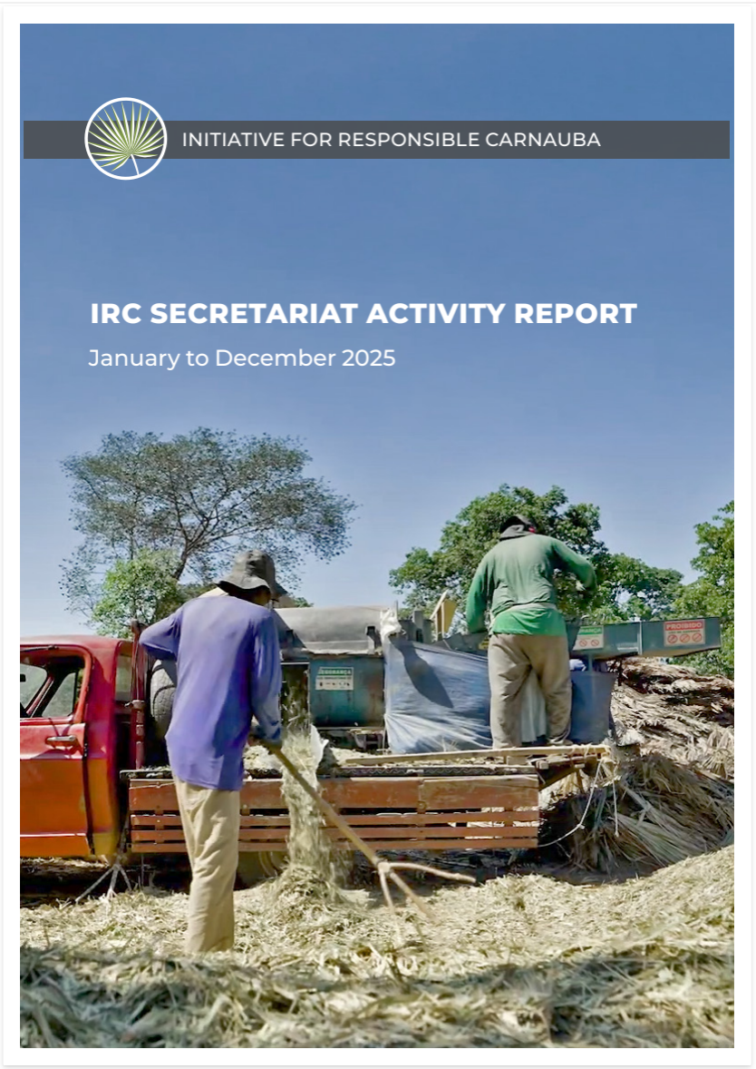 IRC secretariat activity report for the year 2025