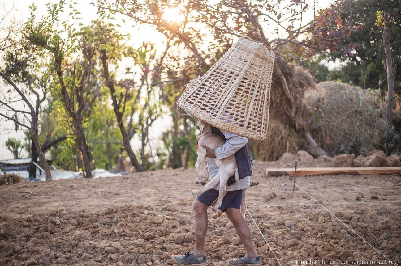 Nepal Conscious Impact Review