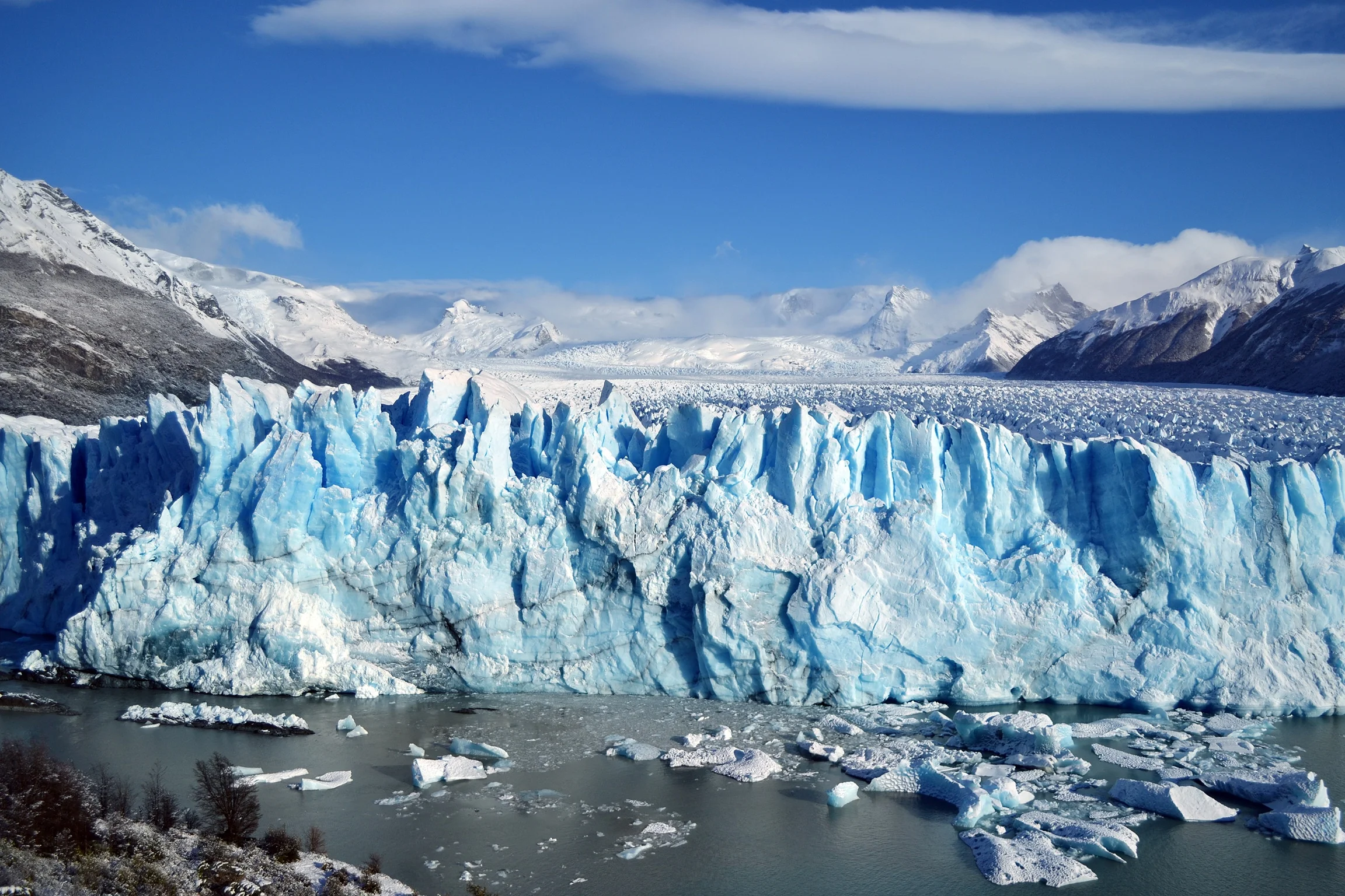  5 sustainable swaps