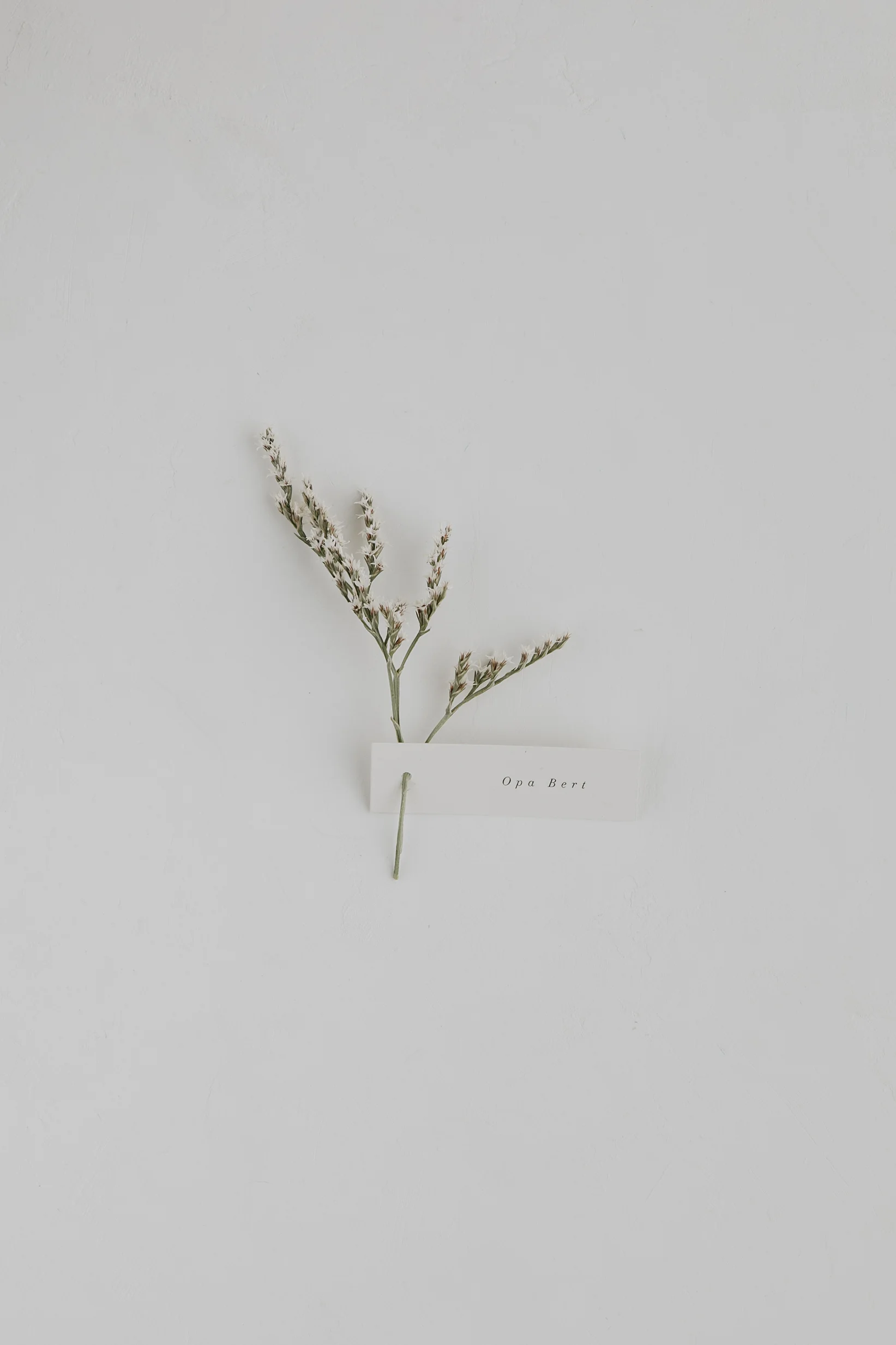 Traumanufaktur_Hochzeitsset_Hochzeitspapeterie_Set_Ivy_Platzkarten_5.jpg