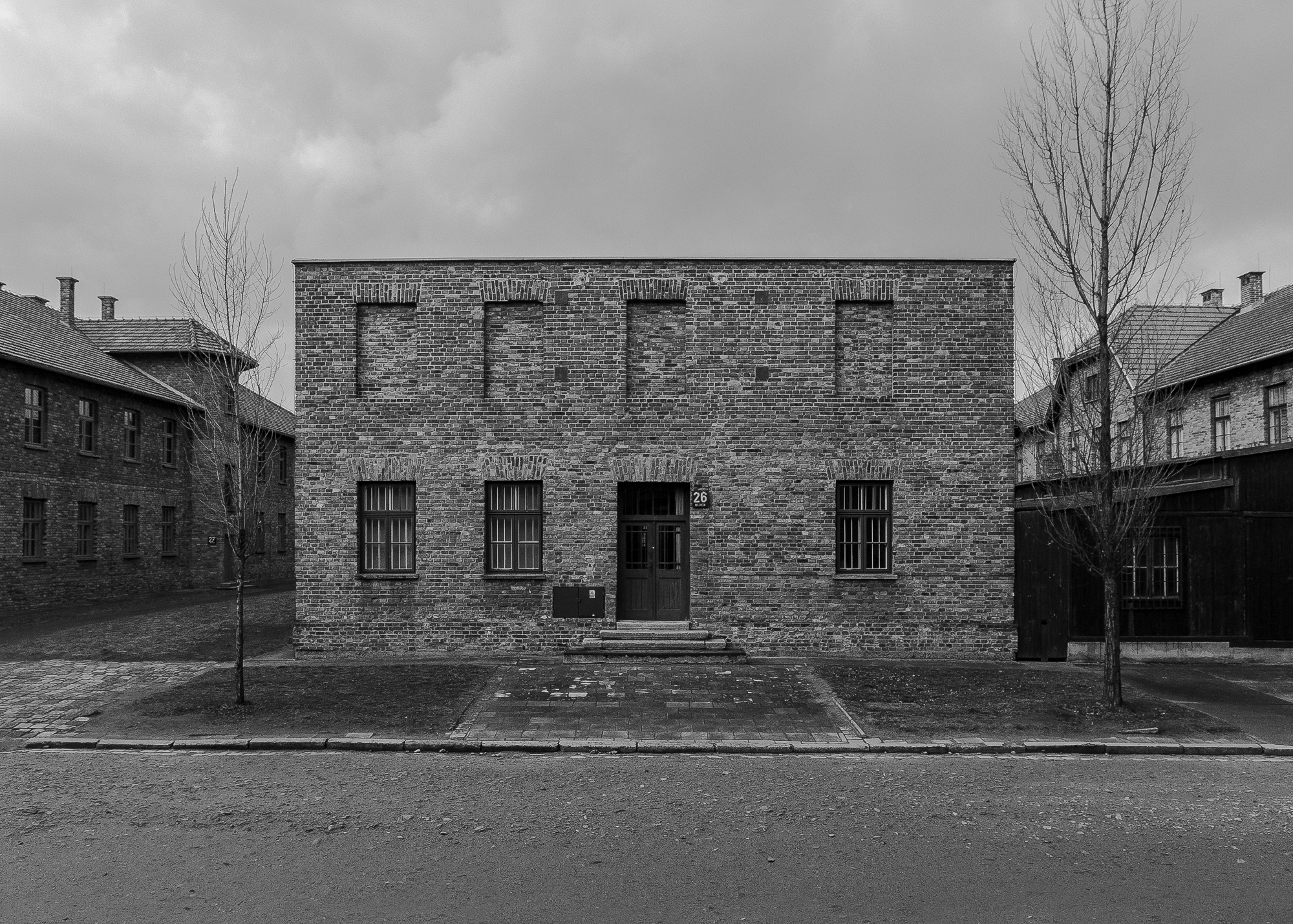 Auswitz 2 5x7.jpg