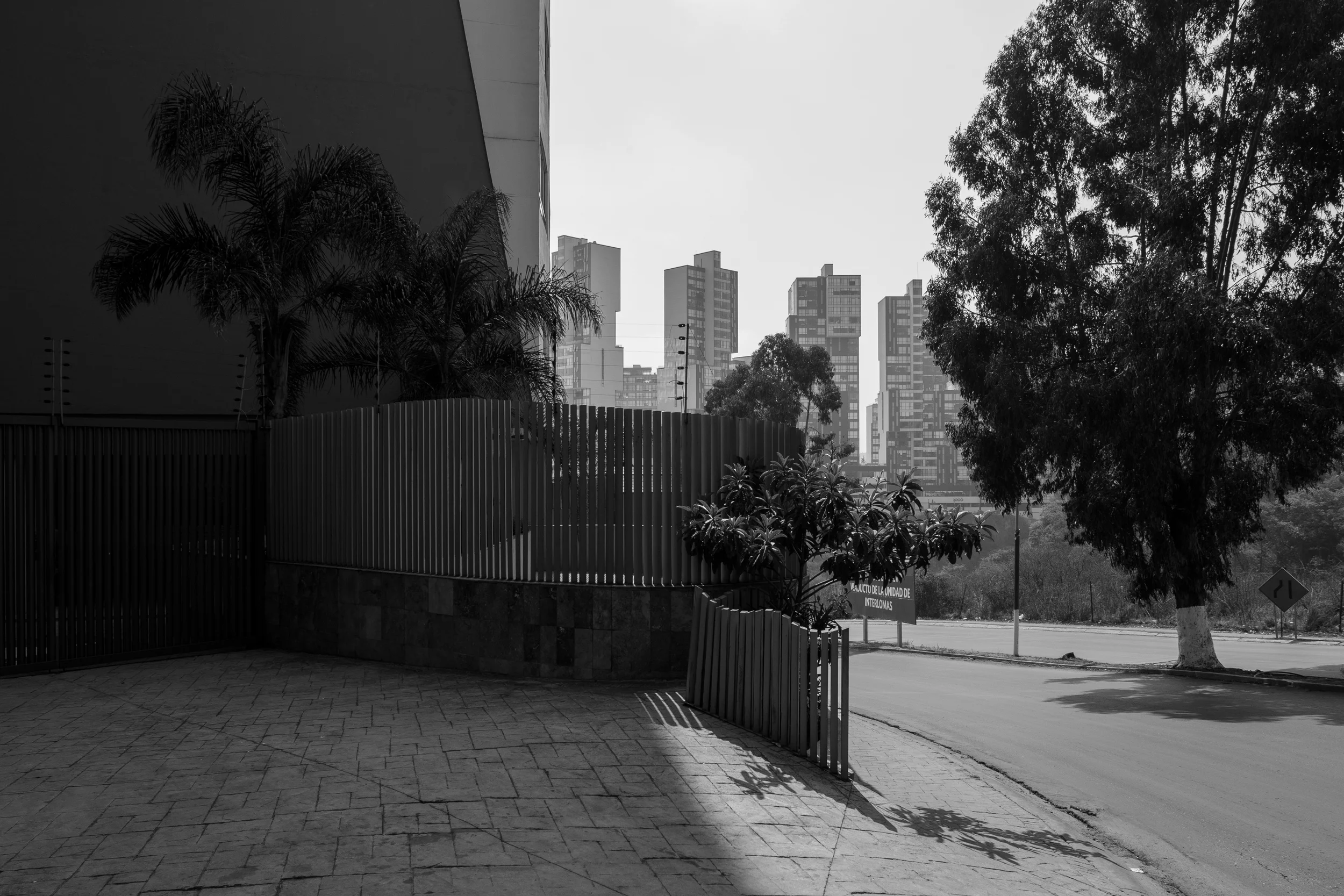 _MG_6776.jpg