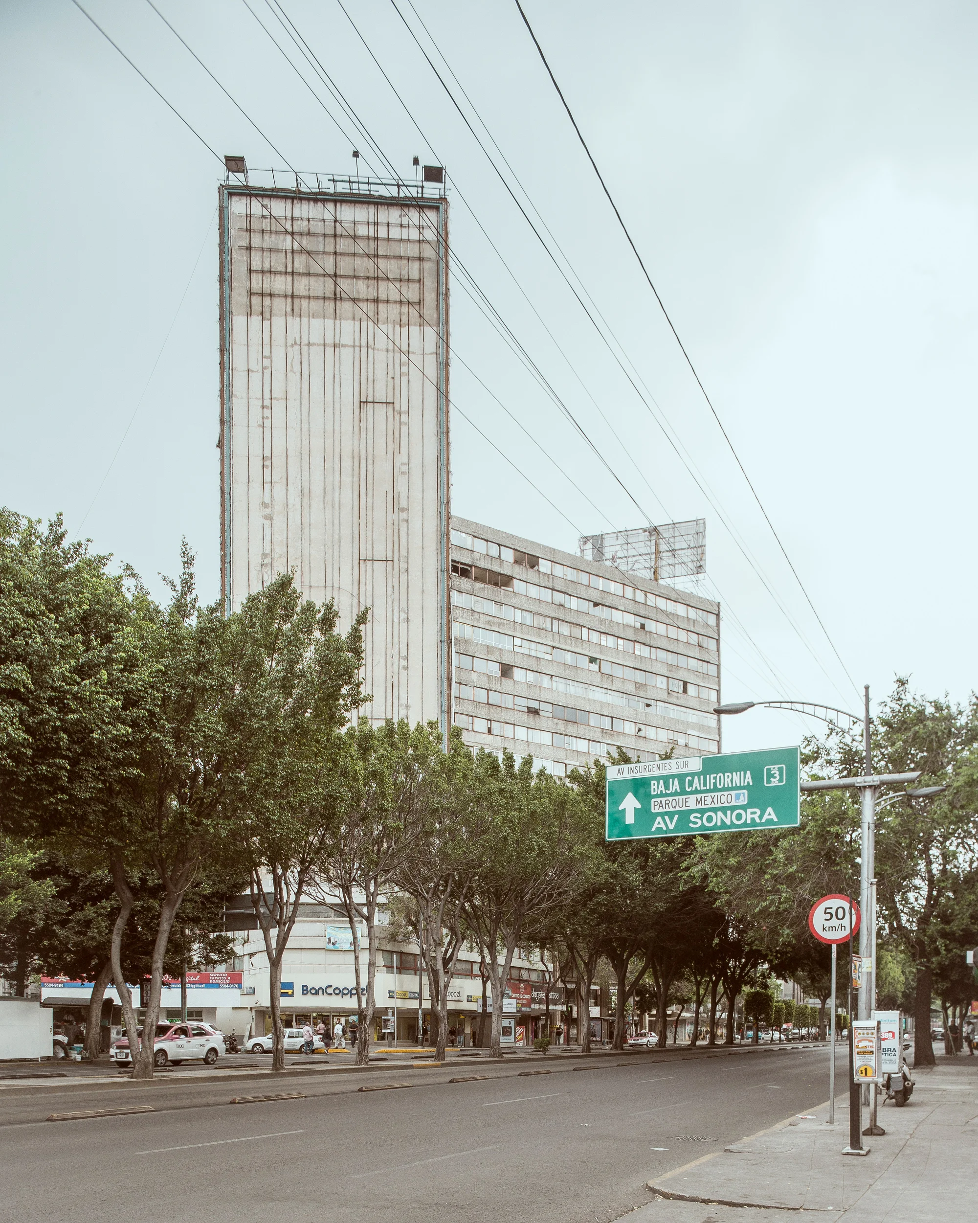 _MG_7041.1.jpg