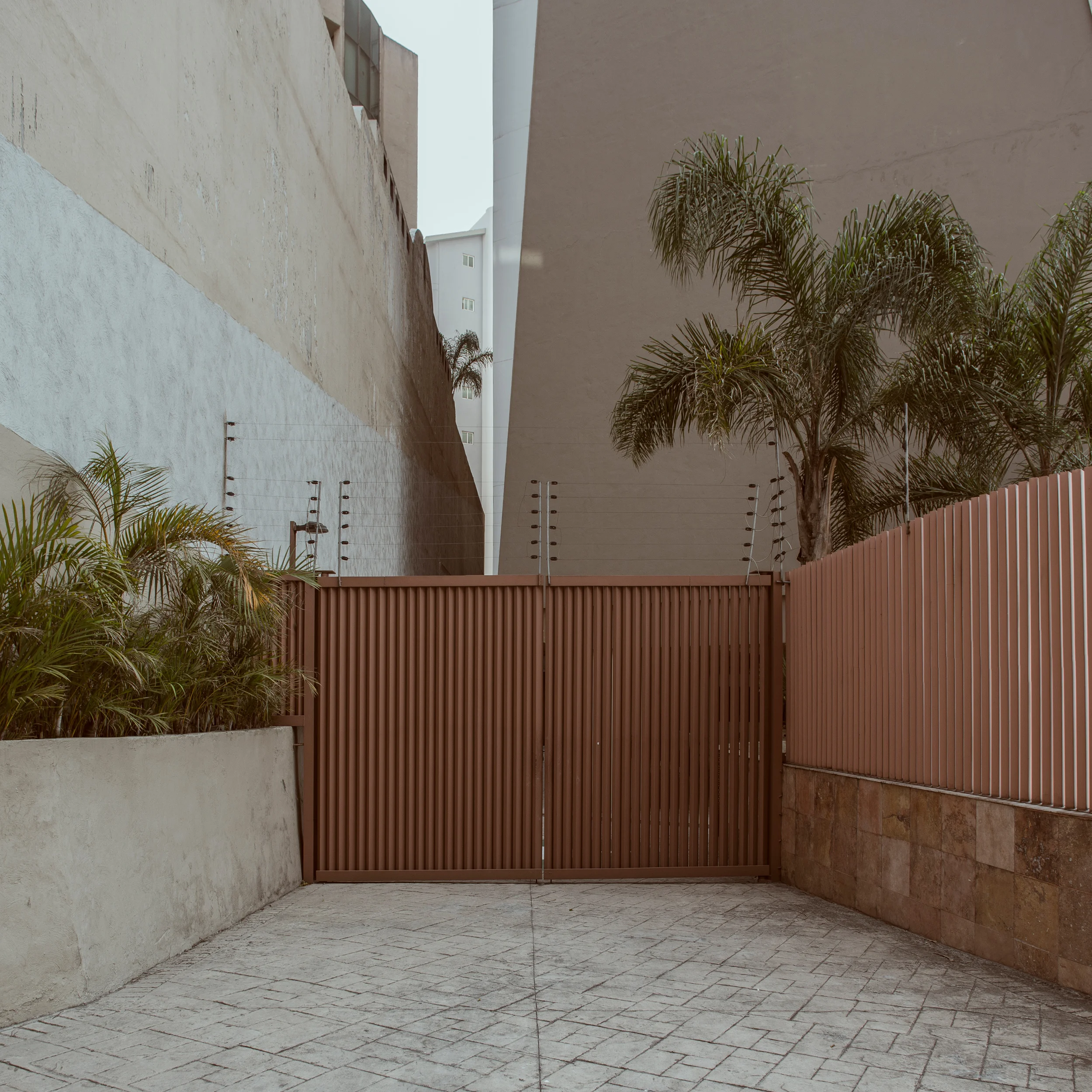 Mexico 10.1.jpg