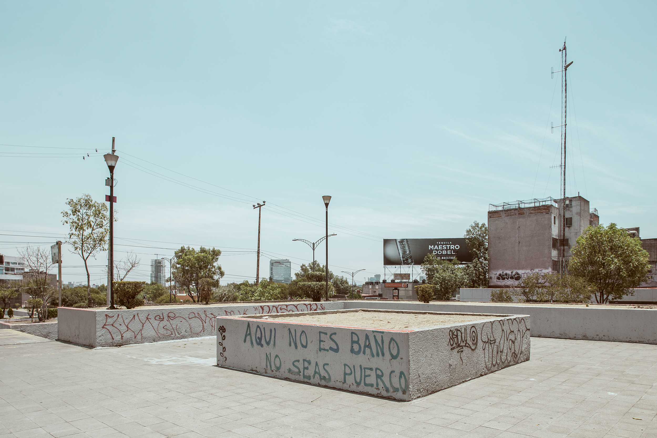 _MG_7347.jpg