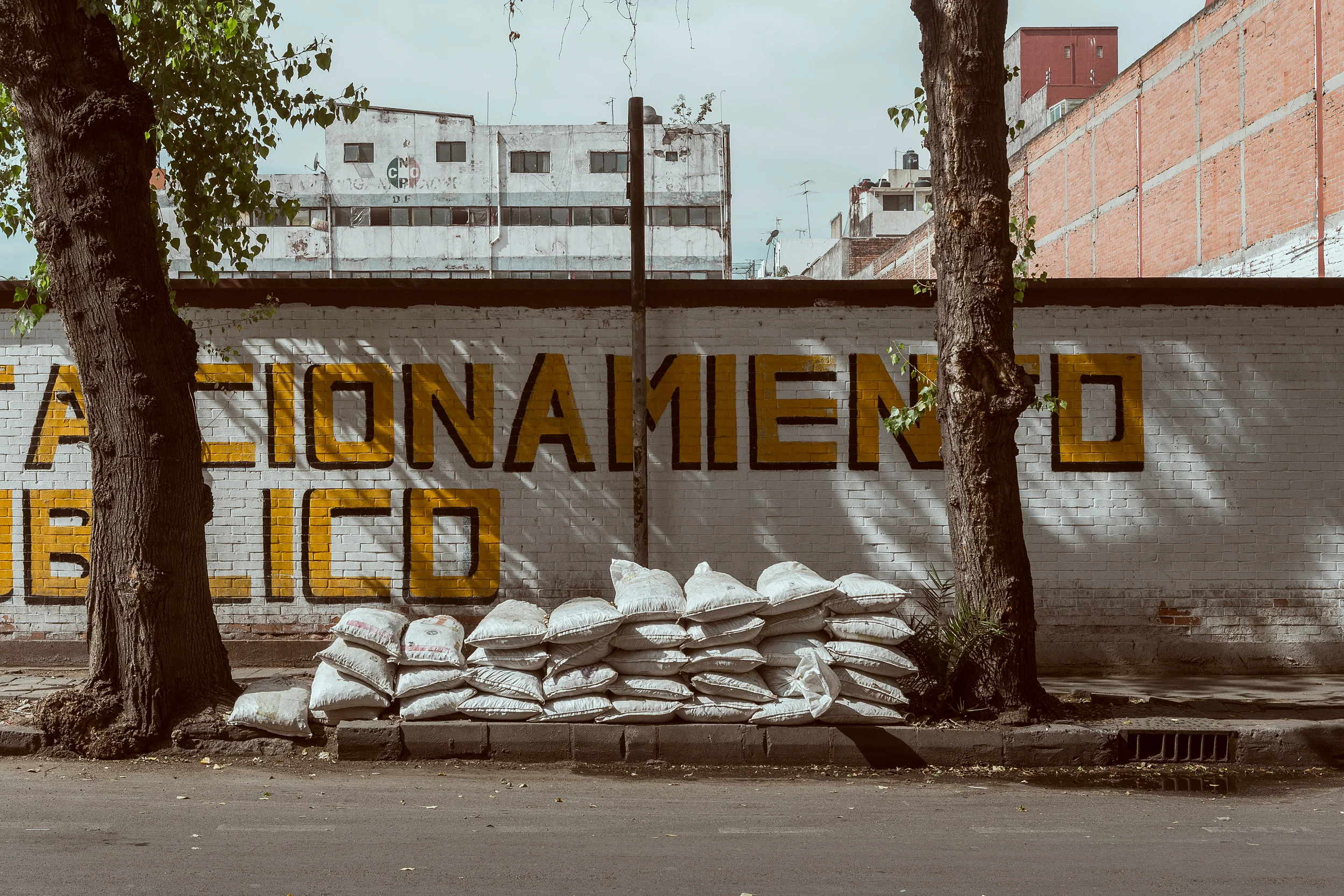 _MG_8075.jpg