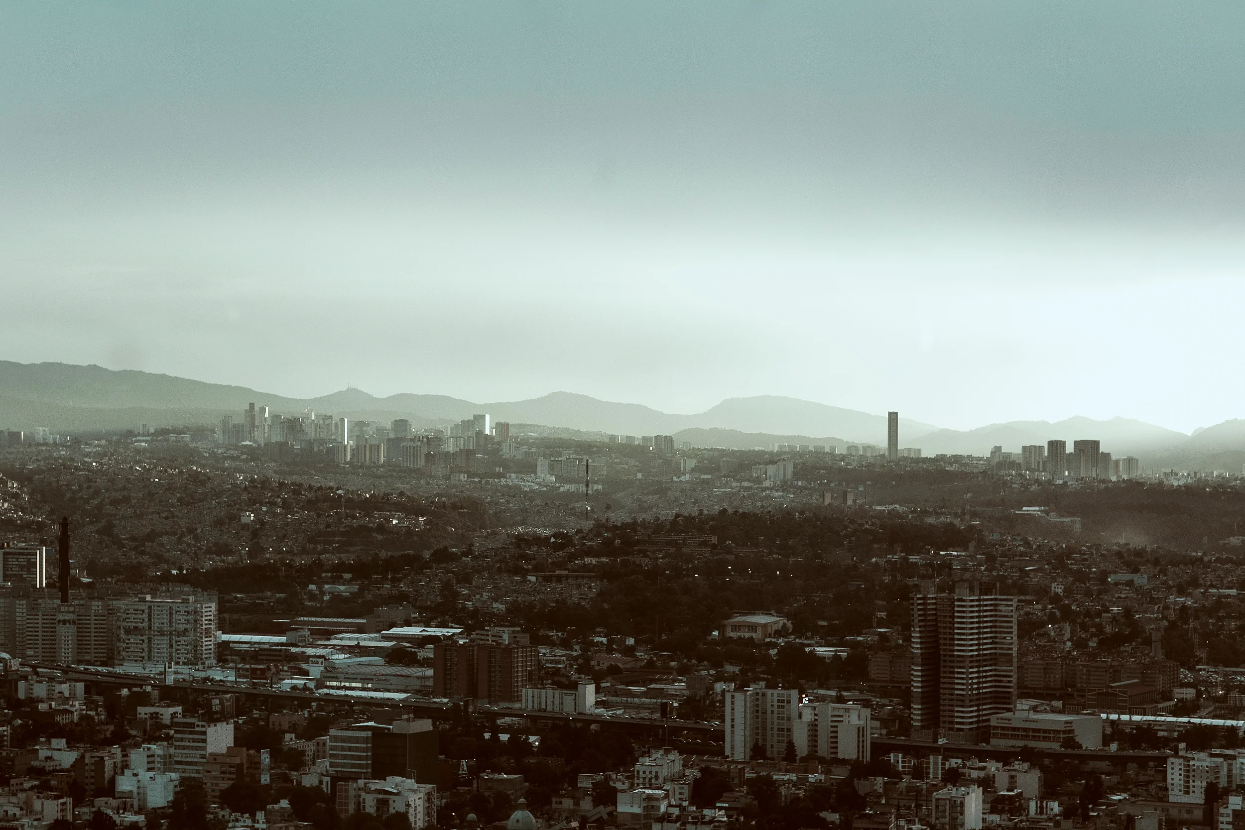 _MG_8334.jpg